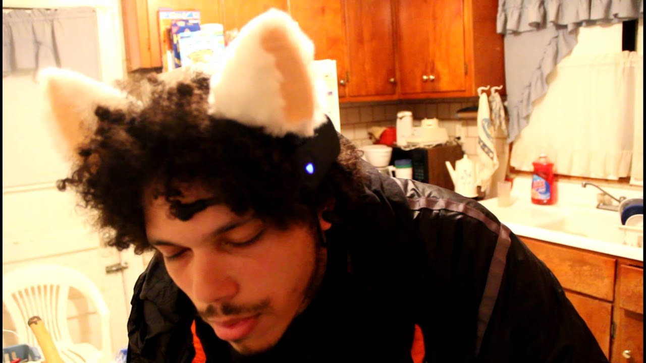mind control cat ear how they work