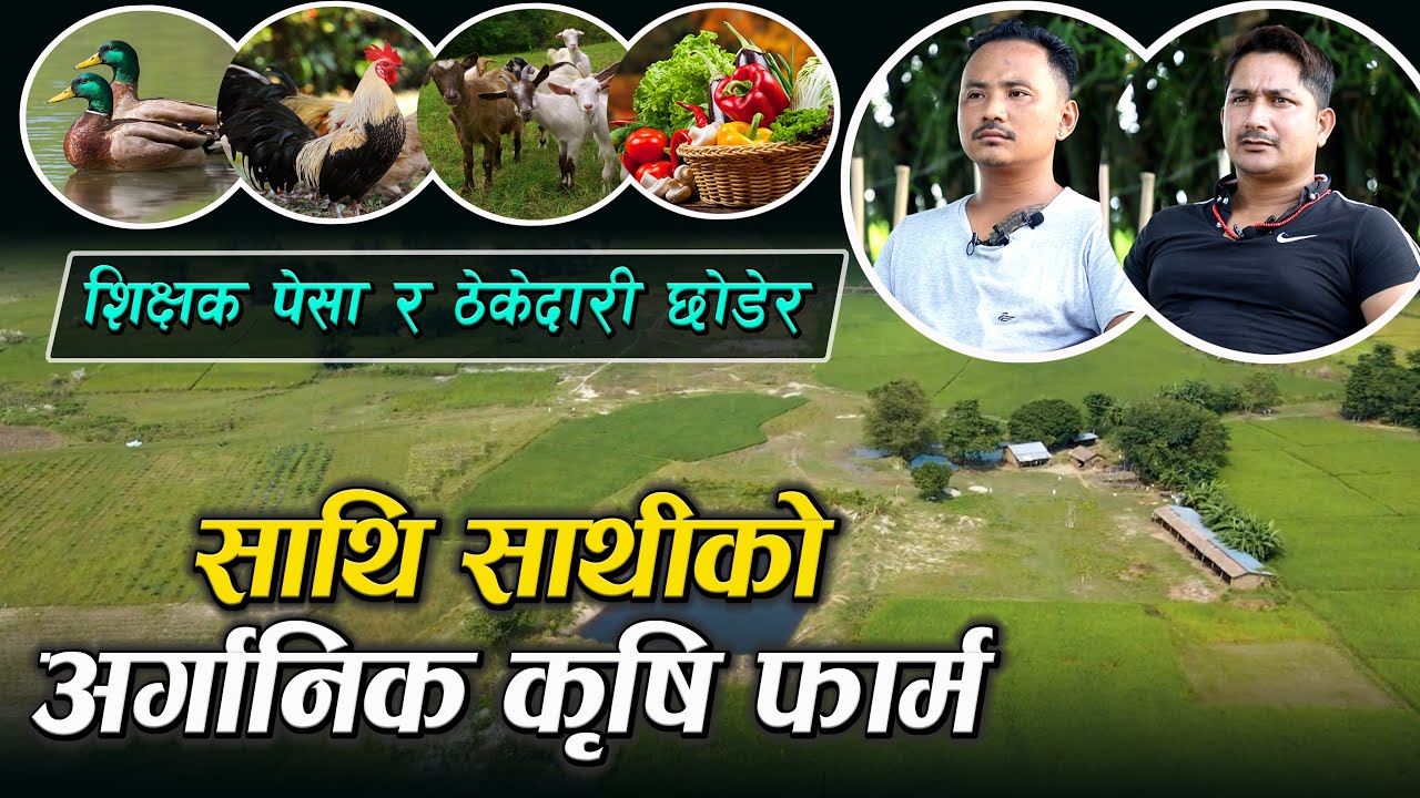 शिक्षक पेसा र ठेकेदारी छोडेर साथी साथीको अर्गानिक कृषि फार्म | Organic Farming in Nepal | Wave Nepal