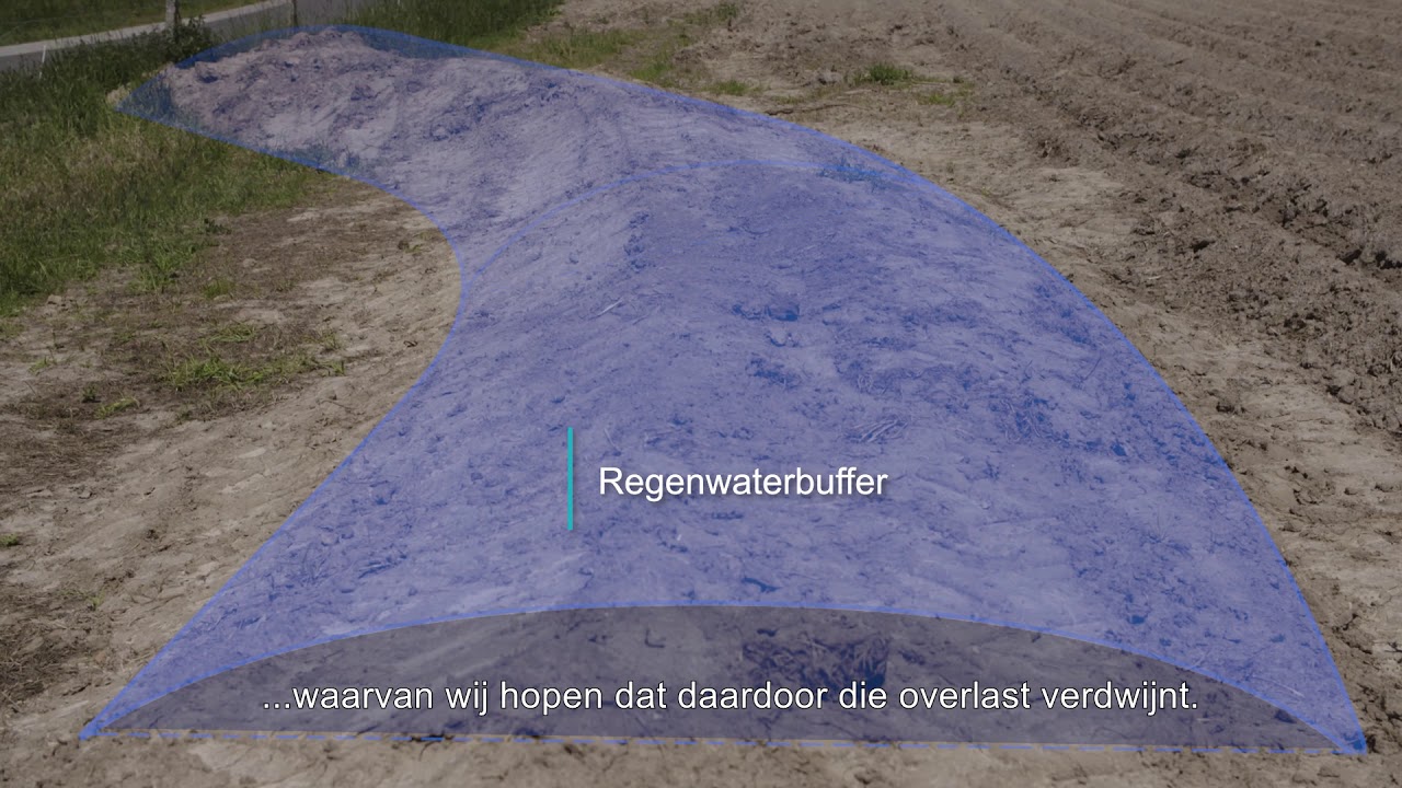 Slim omgaan met water: water vasthouden vast onderdeel management boerderij