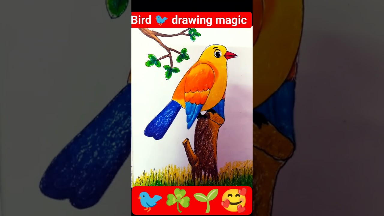 bird 🕊️🐦 
