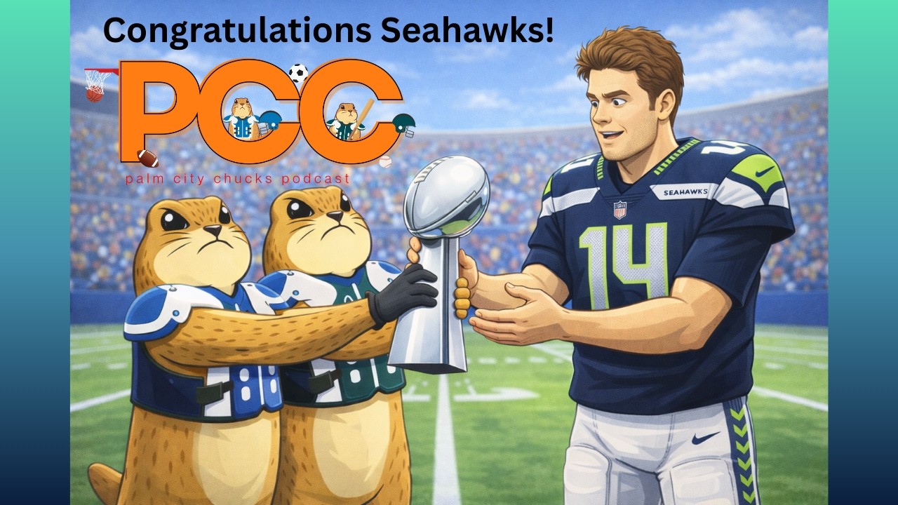 NFL Super Bowl Recap