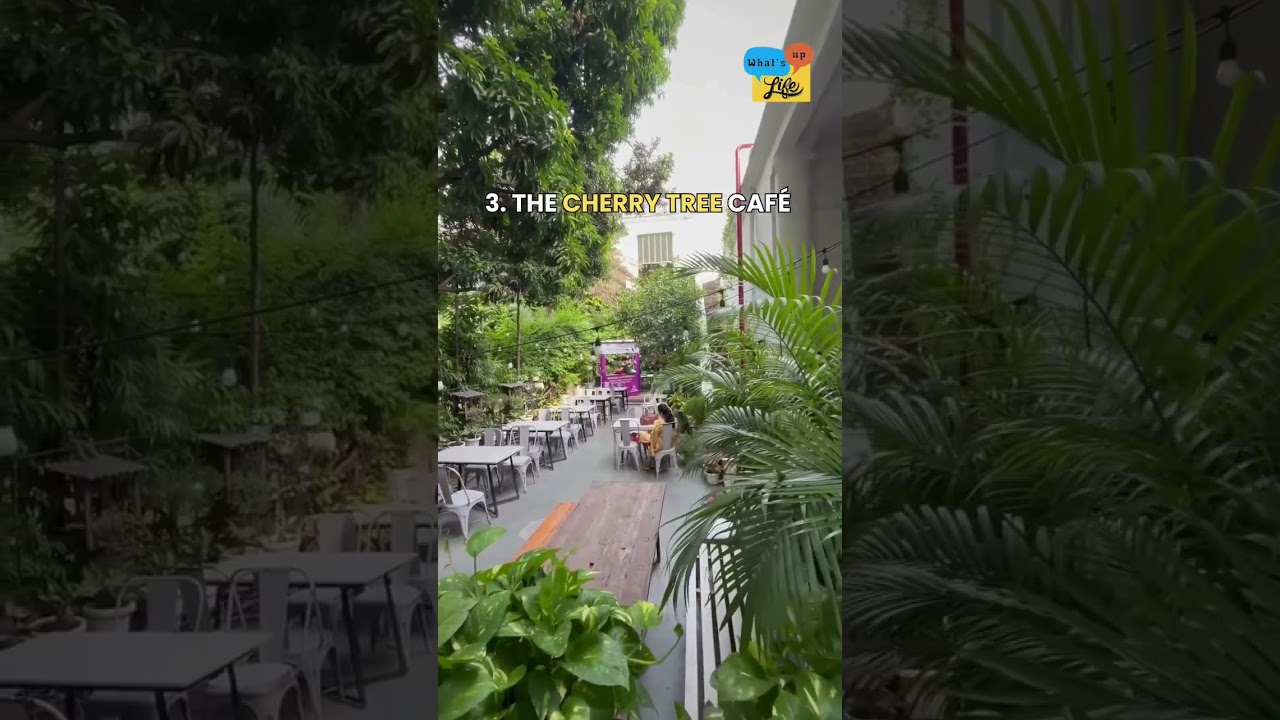 Lucknow&rsquo;s top 5 caf&eacute;s for great coffee, cozy vibes, and delicious bites! Which one&rsquo;s your go-to? ☕✨