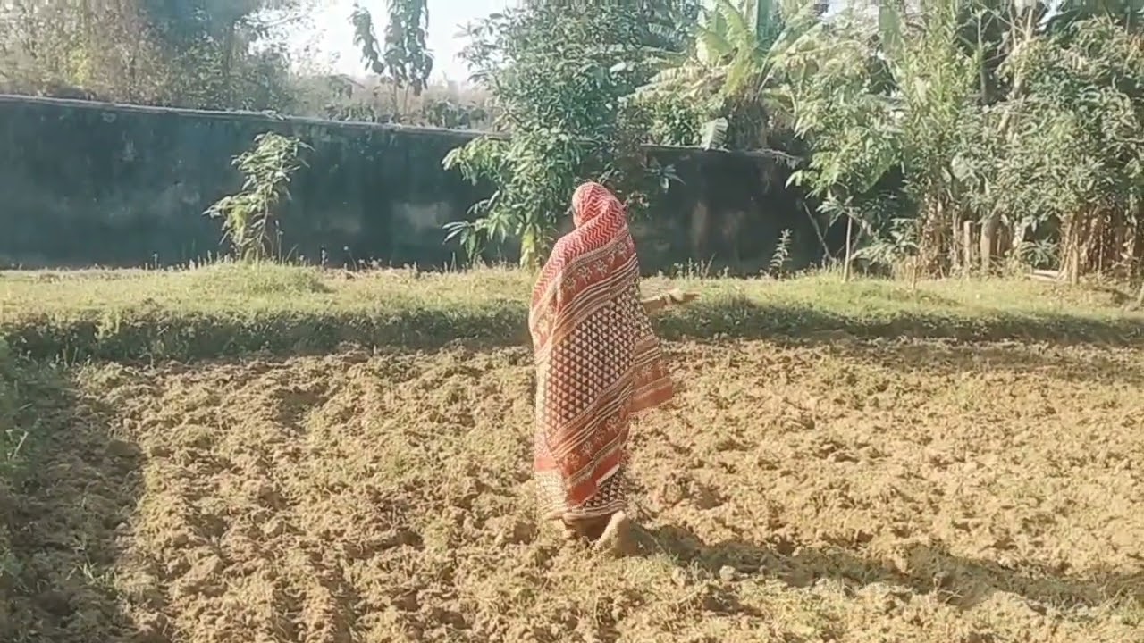 ଆଜି କଣ ହଜିଗଲା ବଗିଚାରେ 🙆🙆🙆🙆
