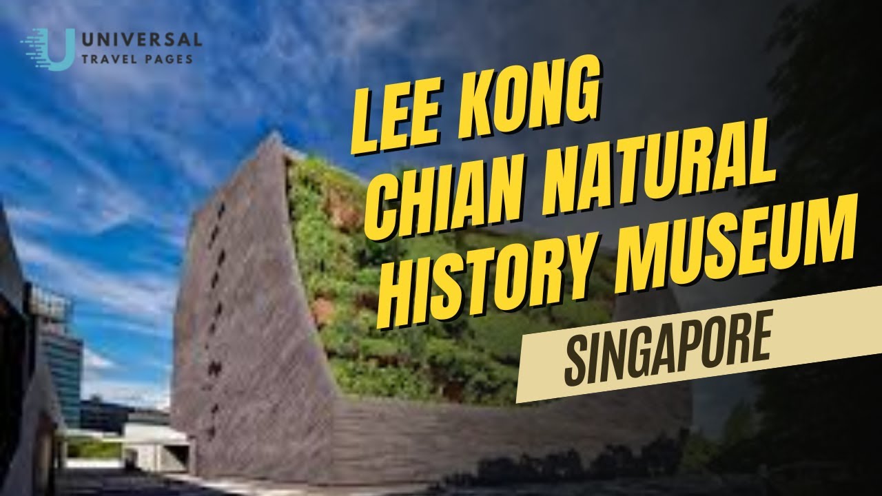 Lee Kong Chian Natural History Museum | Discover Singapore&rsquo;s Natural Wonders