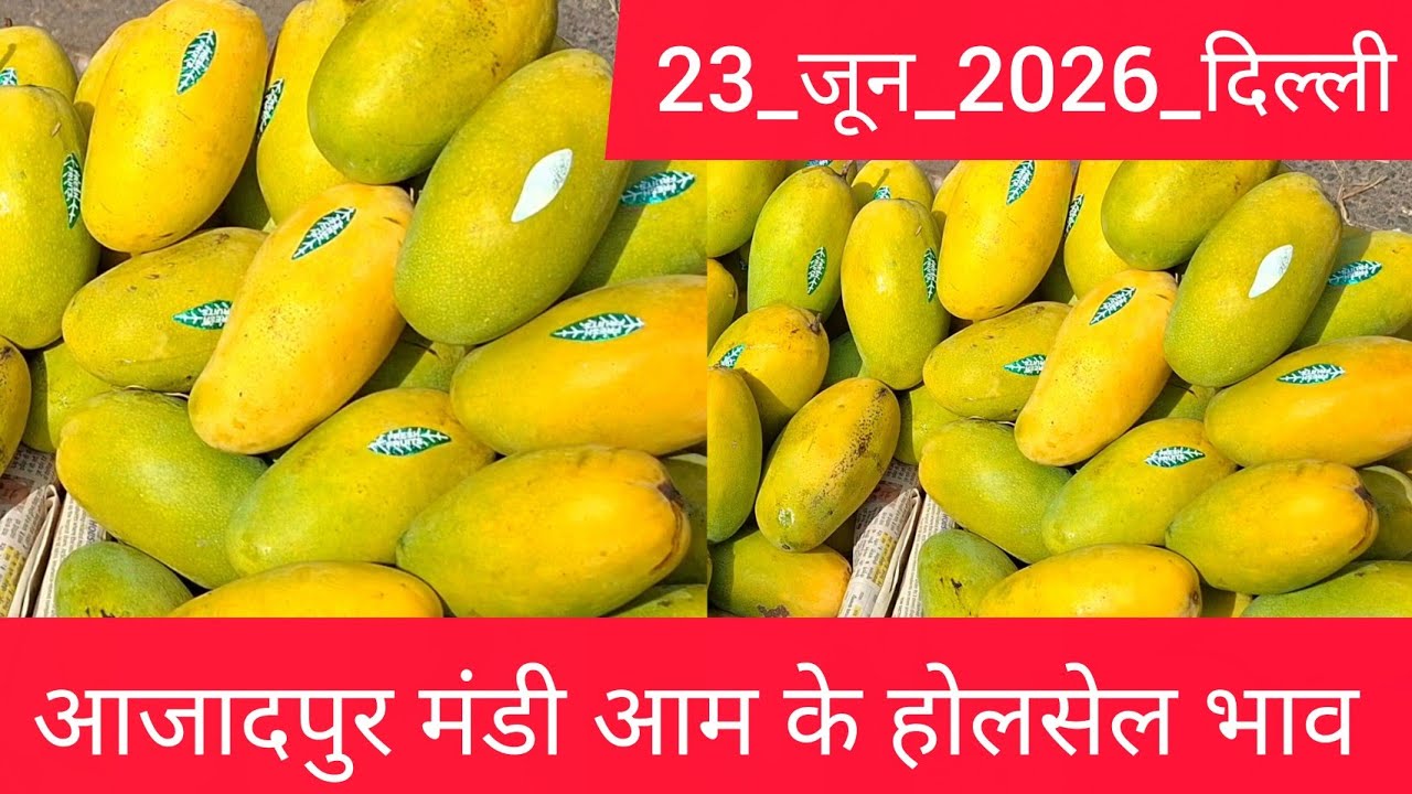 23 June 2026 दिल्ली 🥭 आम का भाव Azadpur Delhi Mandi Today Mango Market Price Aam Ka Aaj Ka Rate