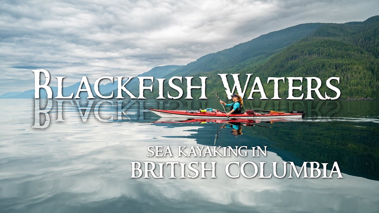 Blackfish Waters