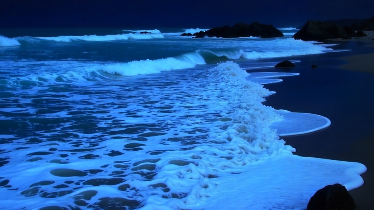 Your Mind Won’t Stop? 🌙 Night Ocean Waves to Calm You Down (LIVE)