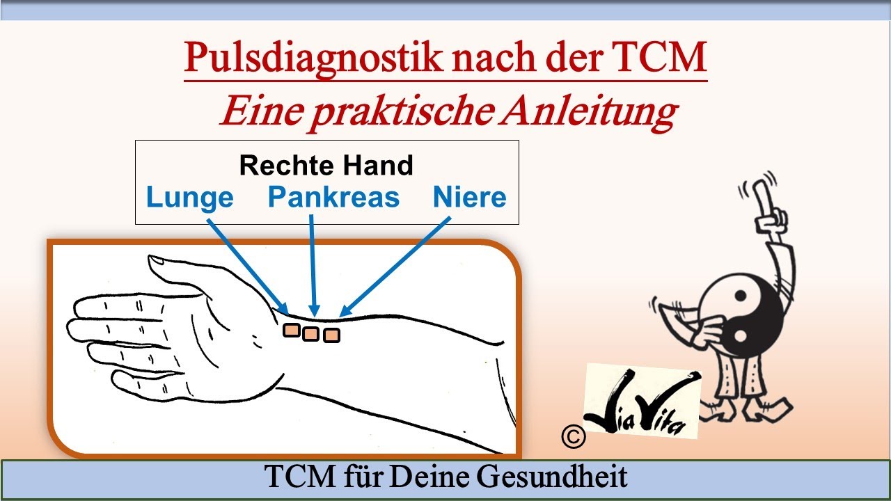 Pulsdiagnose