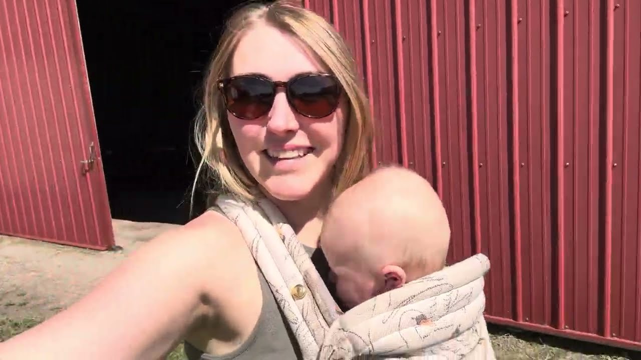 Working on the Barn / New Chicks