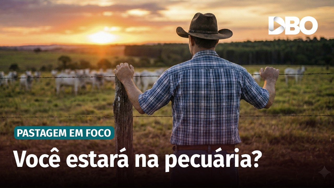 Metade dos pecuaristas pode deixar a atividade até 2040, alerta Embrapa