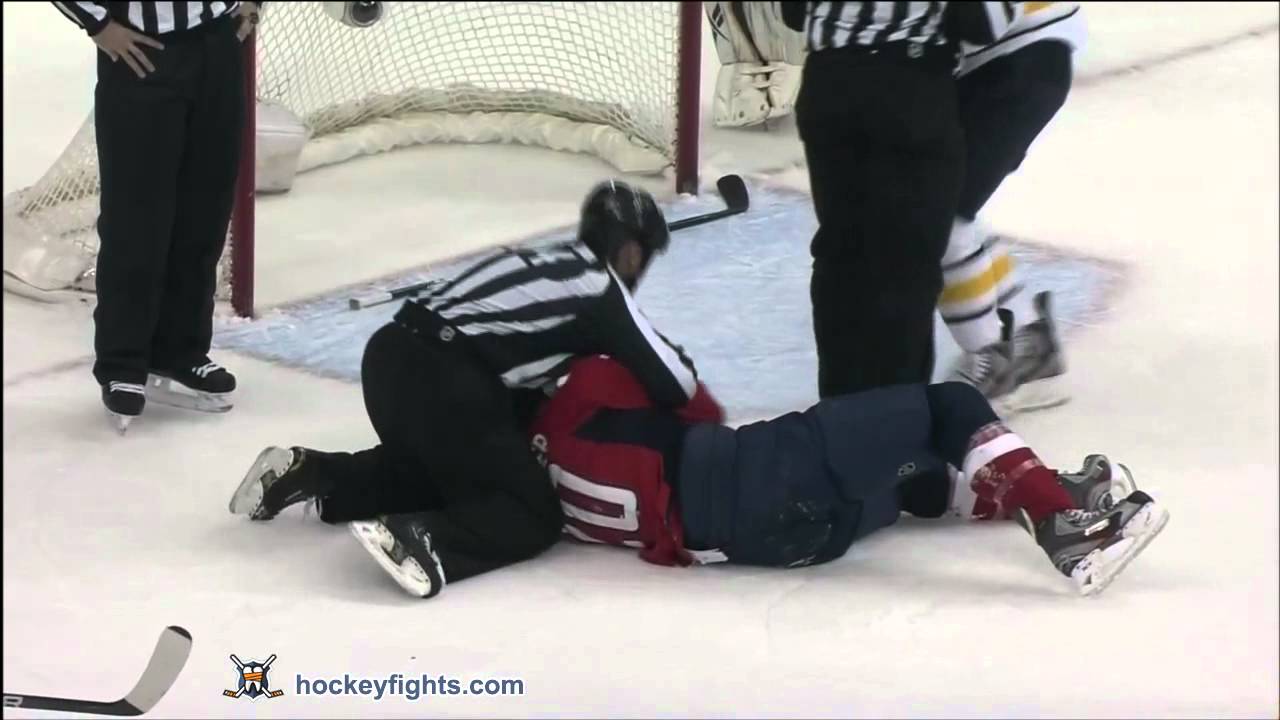 Christian Ehrhoff vs Troy Brouwer Dec 30, 2011