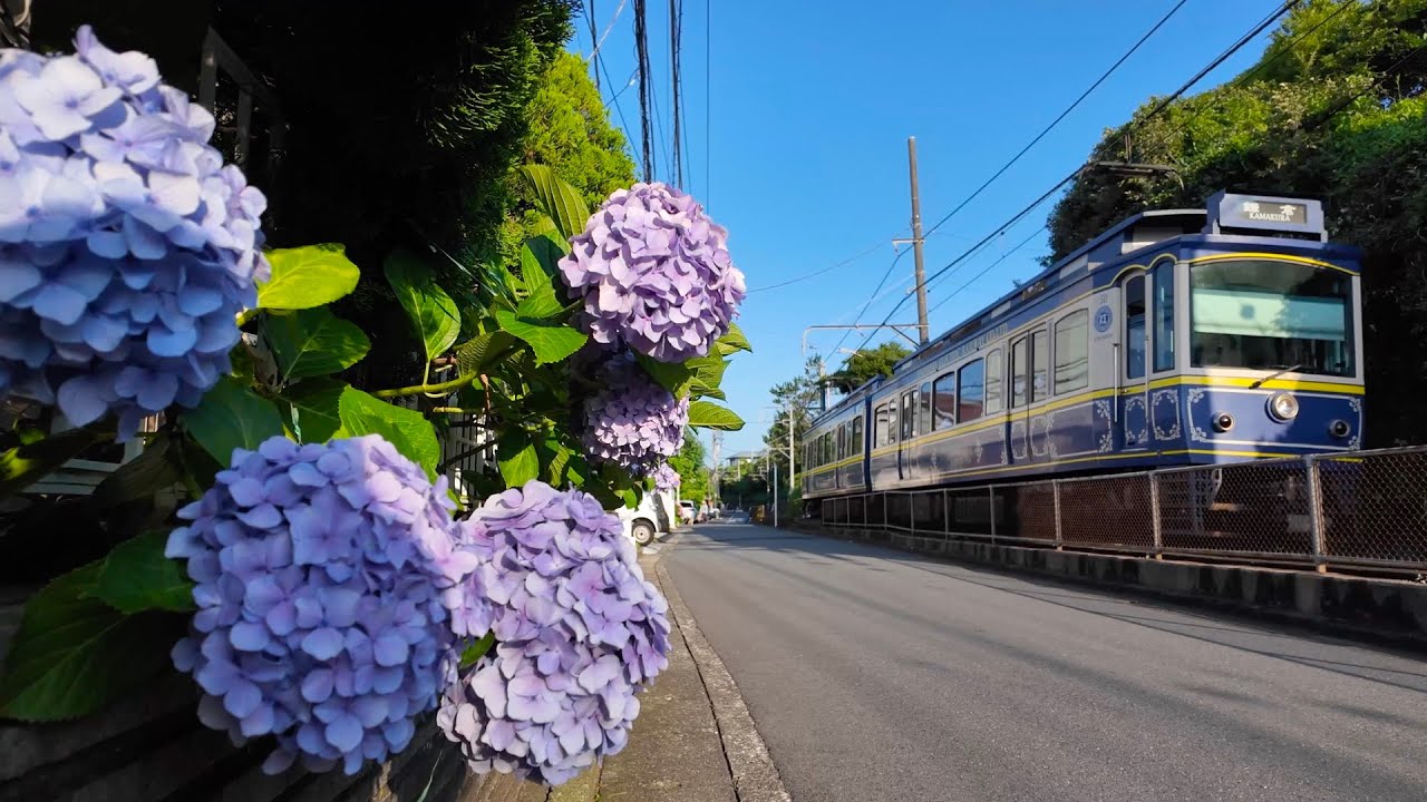 Walk in Seaside village. Stroll along the Local Railway to Ocean View Station【4K Kamakura Japan】