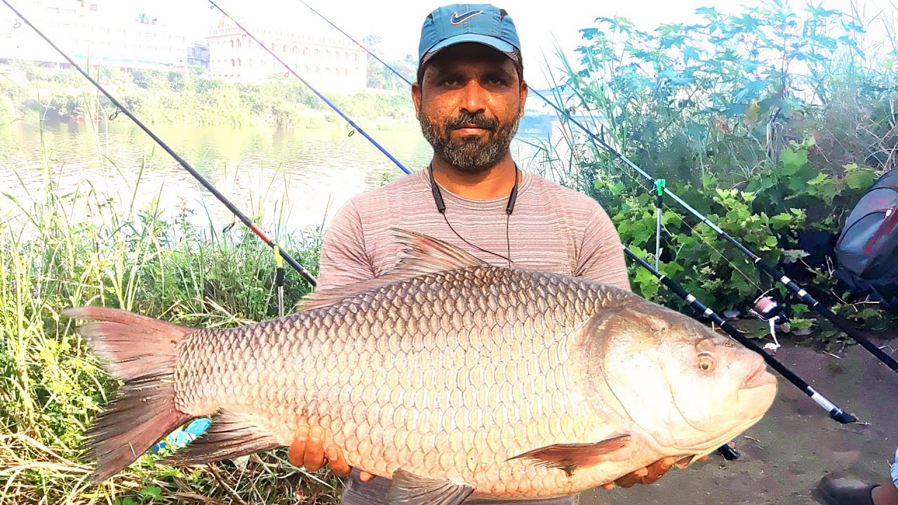 जो सोचा वो मारा,katla fishing in river, जादुई चारे का कमाल, bocha fish hunting 🐟🐟