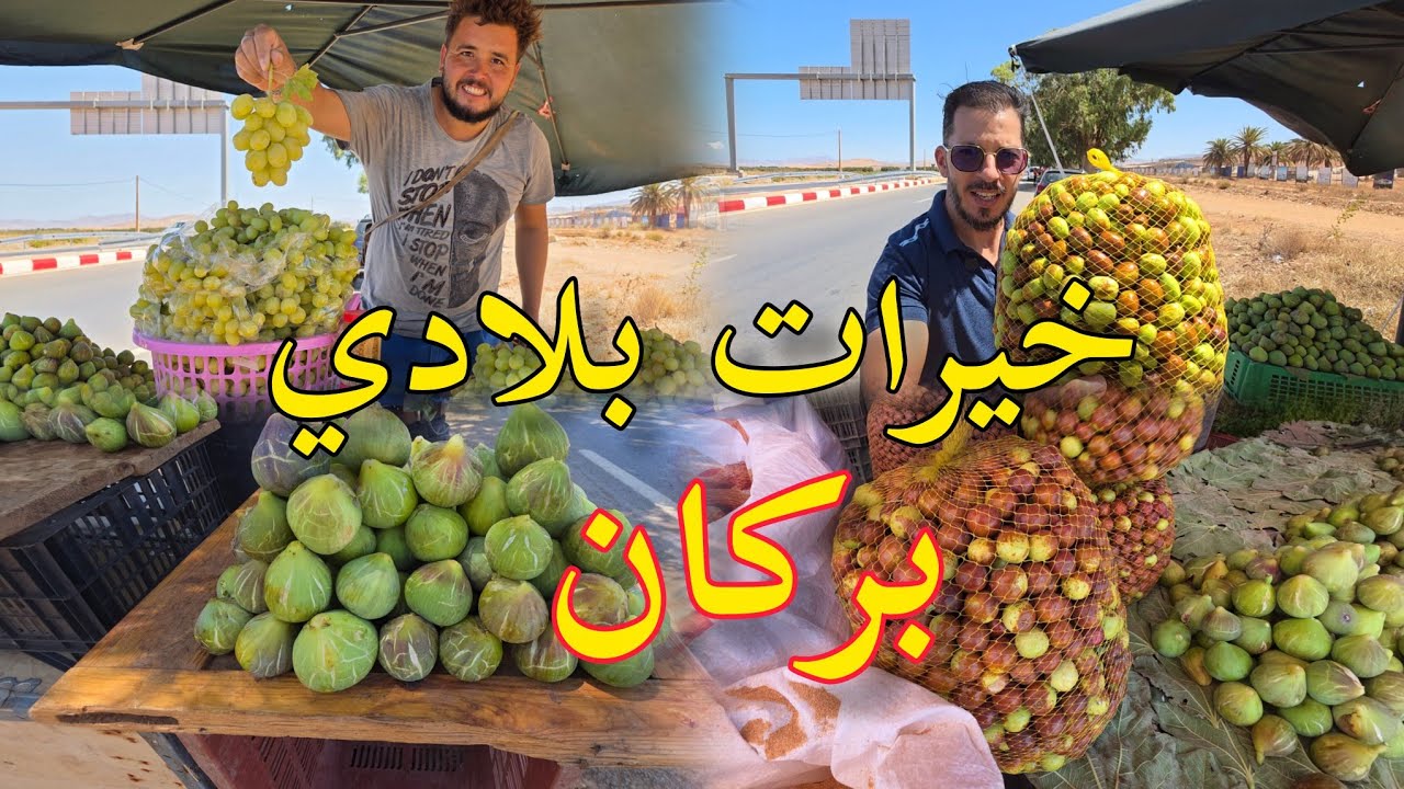موسم الزفزوف فاكهة كرموس العنب خيرات بلادي إقليم بركان 