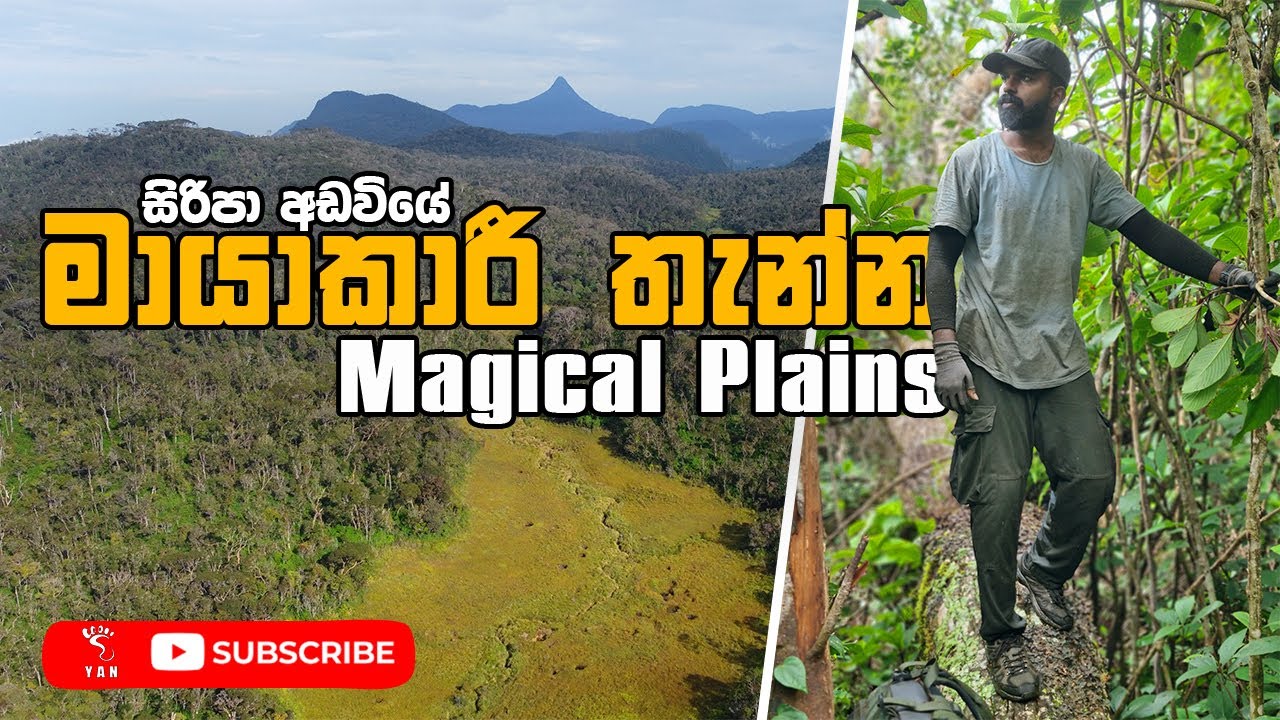 සිරිපා අඩවියේ මාරාන්තික දෙදිනක් | මායාකරී තැන්න |Two Deadly Days in the Wilderness of Adam’s Peak