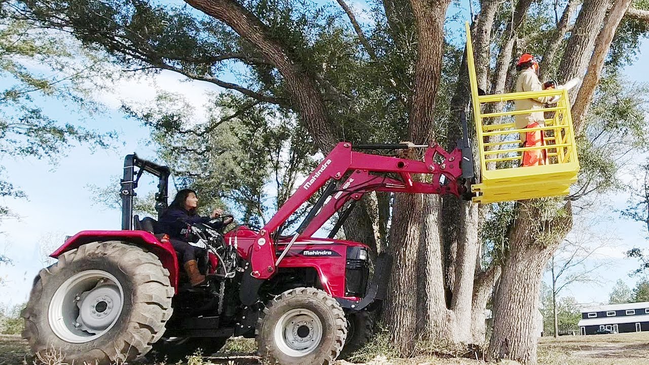 Use A Farm Tractor to Trim TREES! LIKE A PRO!
