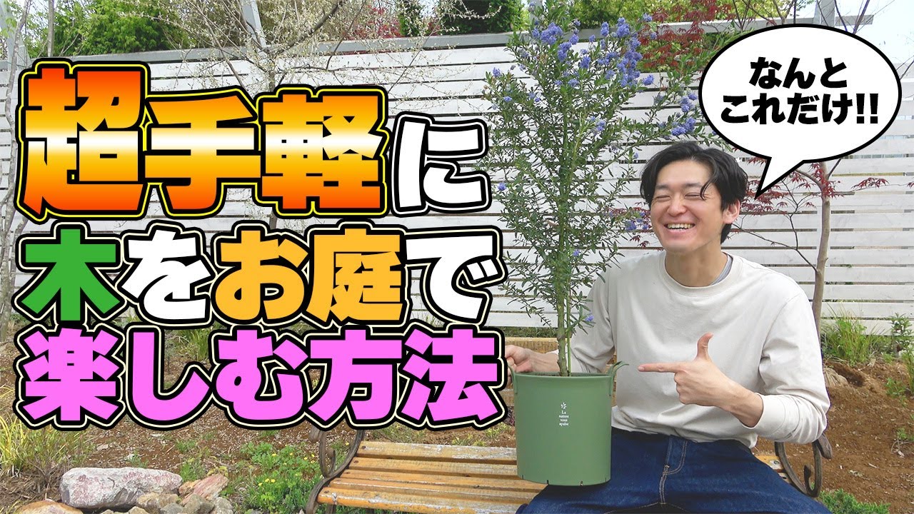 【植木の鉢植え】何の心配もなく植木をお庭で楽しむ唯一の方法