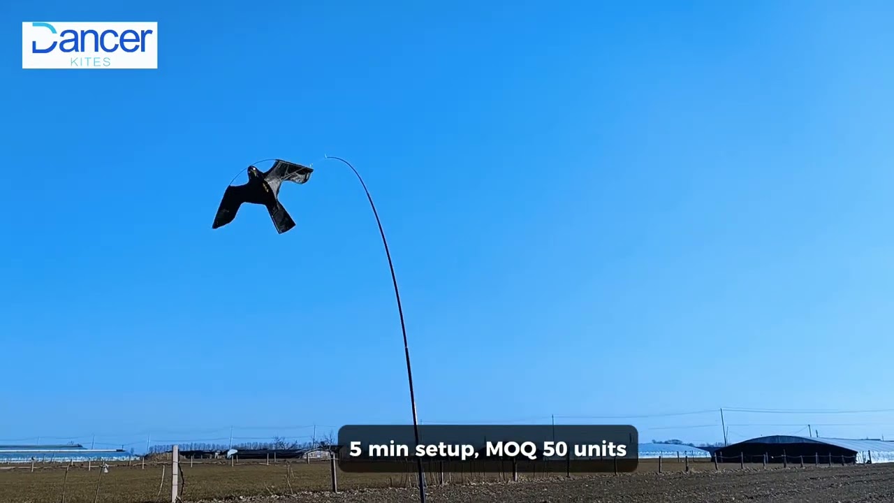 bird scare kite to protect your crops from damaging