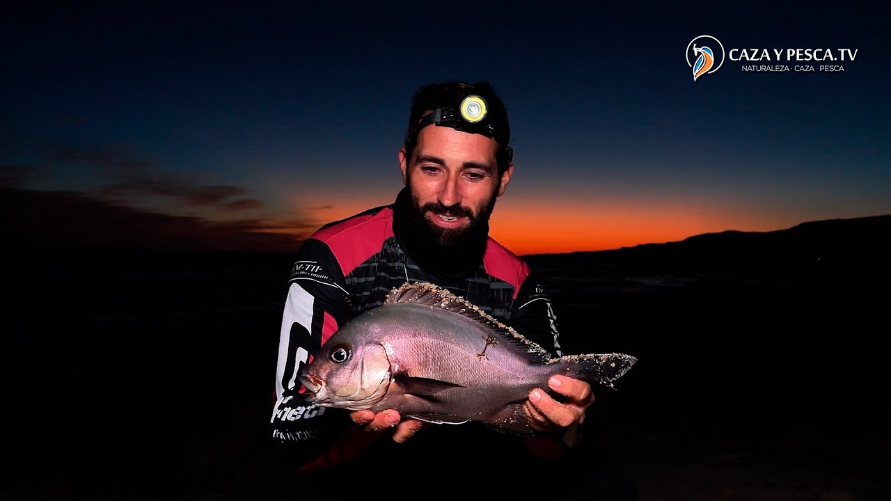 【𝐒𝐮𝐫𝐟𝐜𝐚𝐬𝐭𝐢𝐧𝐠 𝐞𝐧 𝐩𝐞𝐝𝐫𝐞𝐠𝐚𝐥𝐞𝐬】, Pesca de borriquetes a surfcasting en Tarifa, Documental