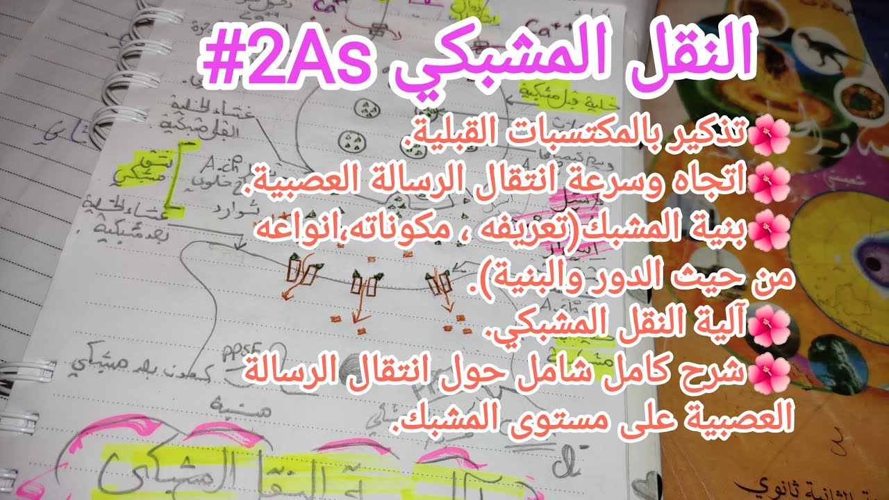 النقل المشبكي🧑‍🏫🌼شرح شامل بسيط وسهل 📚#ثانية_ثانوي_علوم_تجريبية🌼 #لايك_اشتراك_بالقناه_ليصلك_كل_جديد
