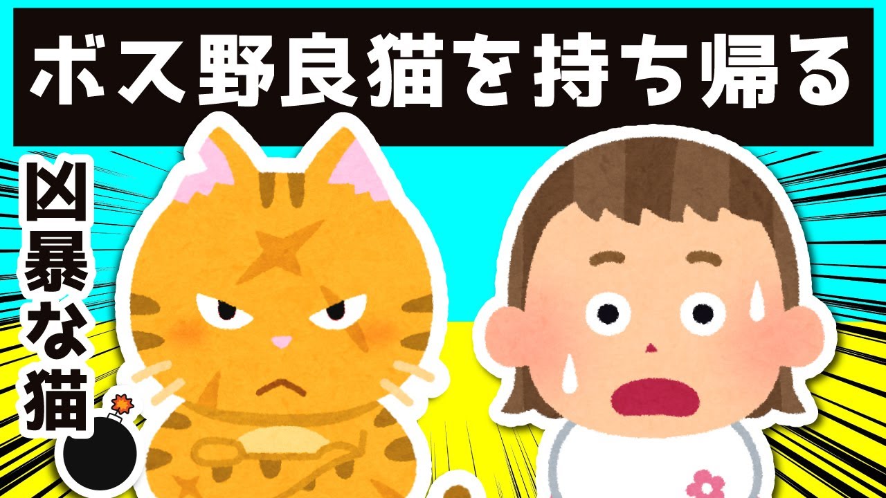 凶暴で有名なボス野良猫をお持ち帰りした結果…ｗｗｗ