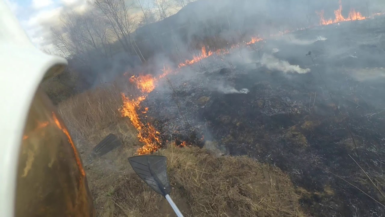 Pożar nieużytków rolnych - OSP ALARMOWO [HELMETCAM]