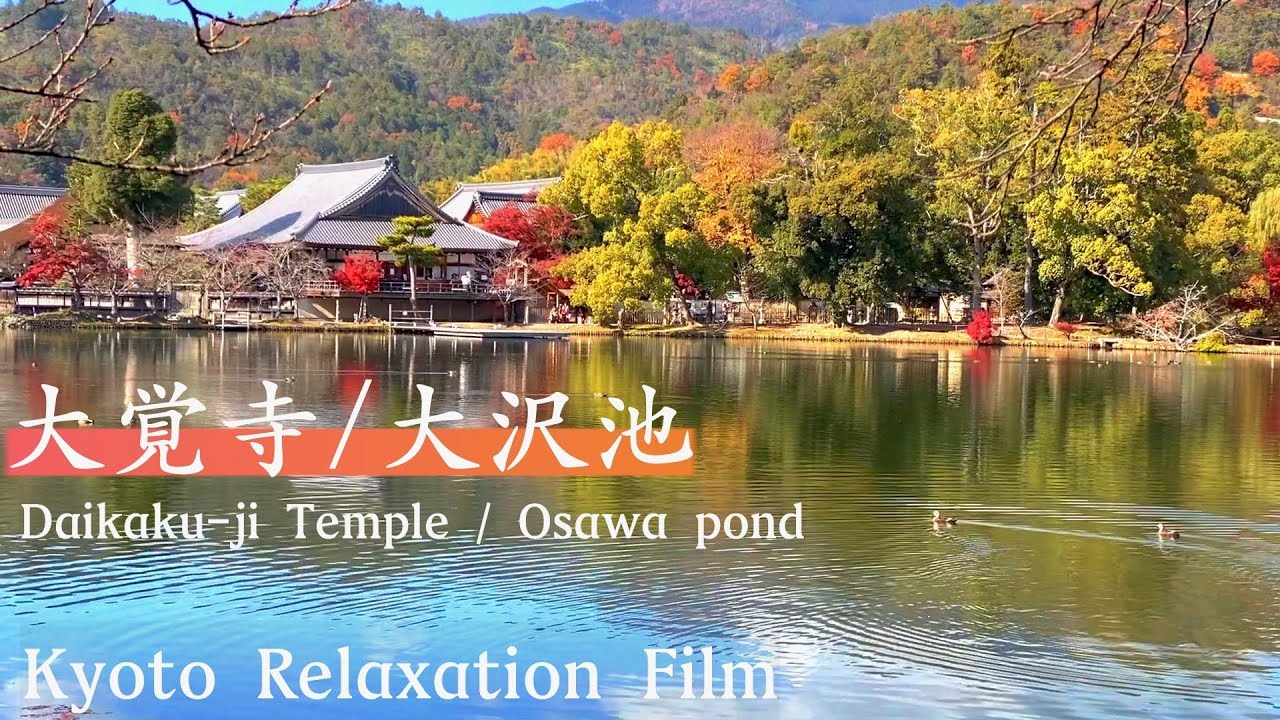【Kyoto Daikakuji Temple】The majestic Daikakuji and the tranquil beauty of Osawa Pond~japanese garden