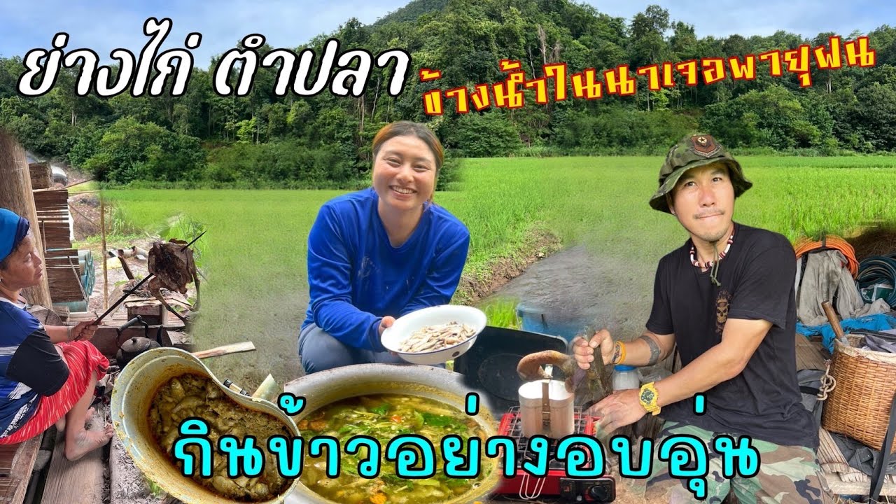 กลับมาใช้ชีวิตในนาย่างไก่ตำปลาทำปลากระป๋องดอยไว้กินก่อยพายุเข้า