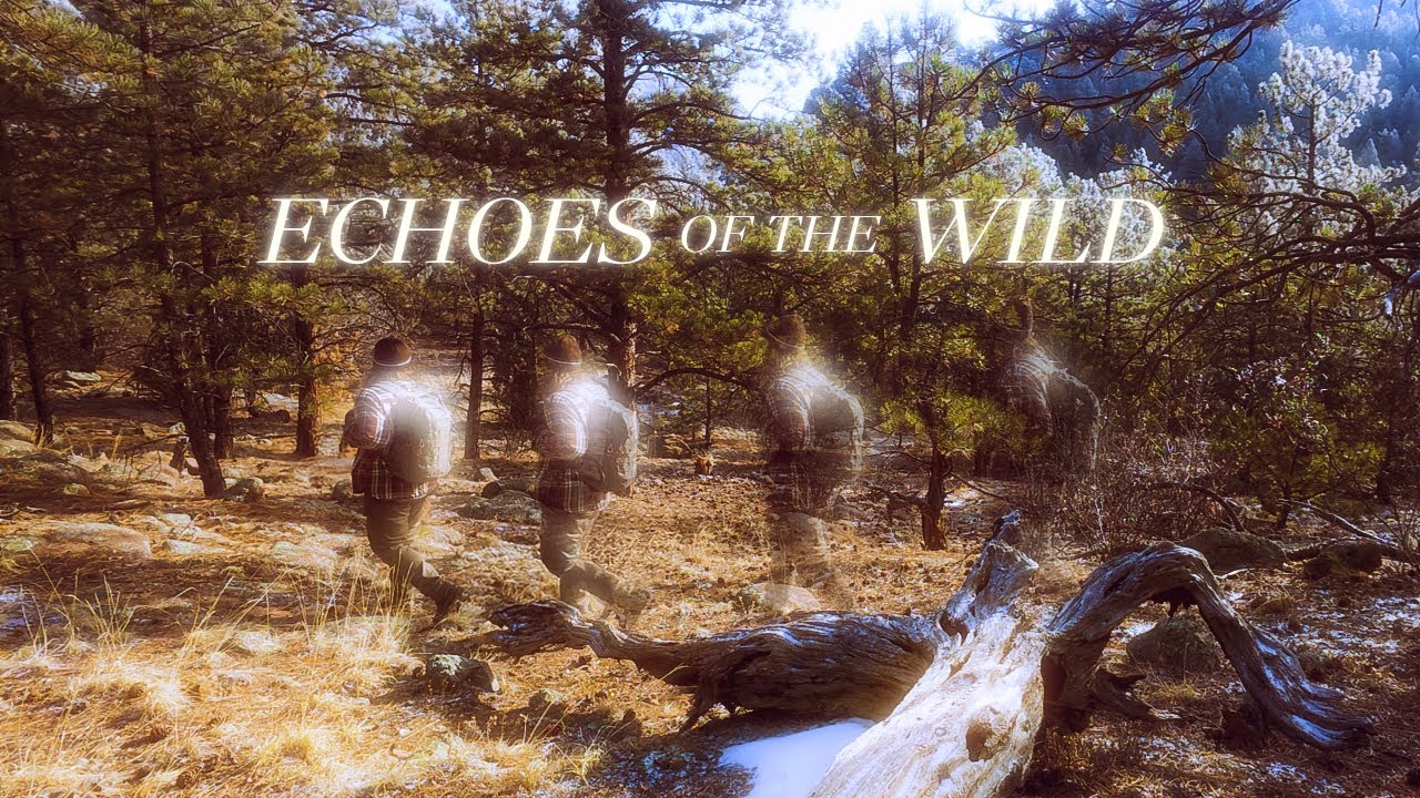 Echoes of the Wild | A Short Film