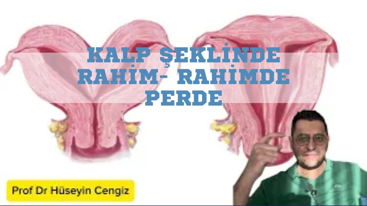 Kalp Şeklinde Rahim ve Rahimde Perde: Bilinmeyen Gerçekler ve Etkileri💖