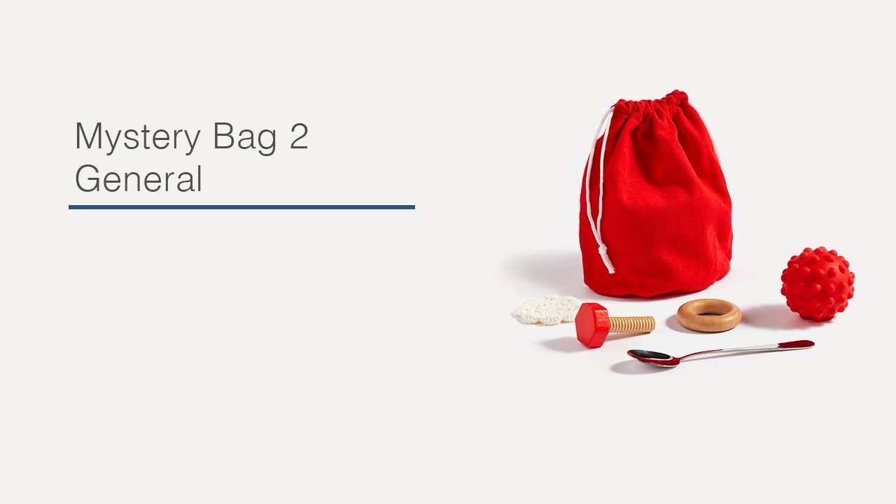 Meet the Montessori Mystery Bag 2 (General) from Monti Kids