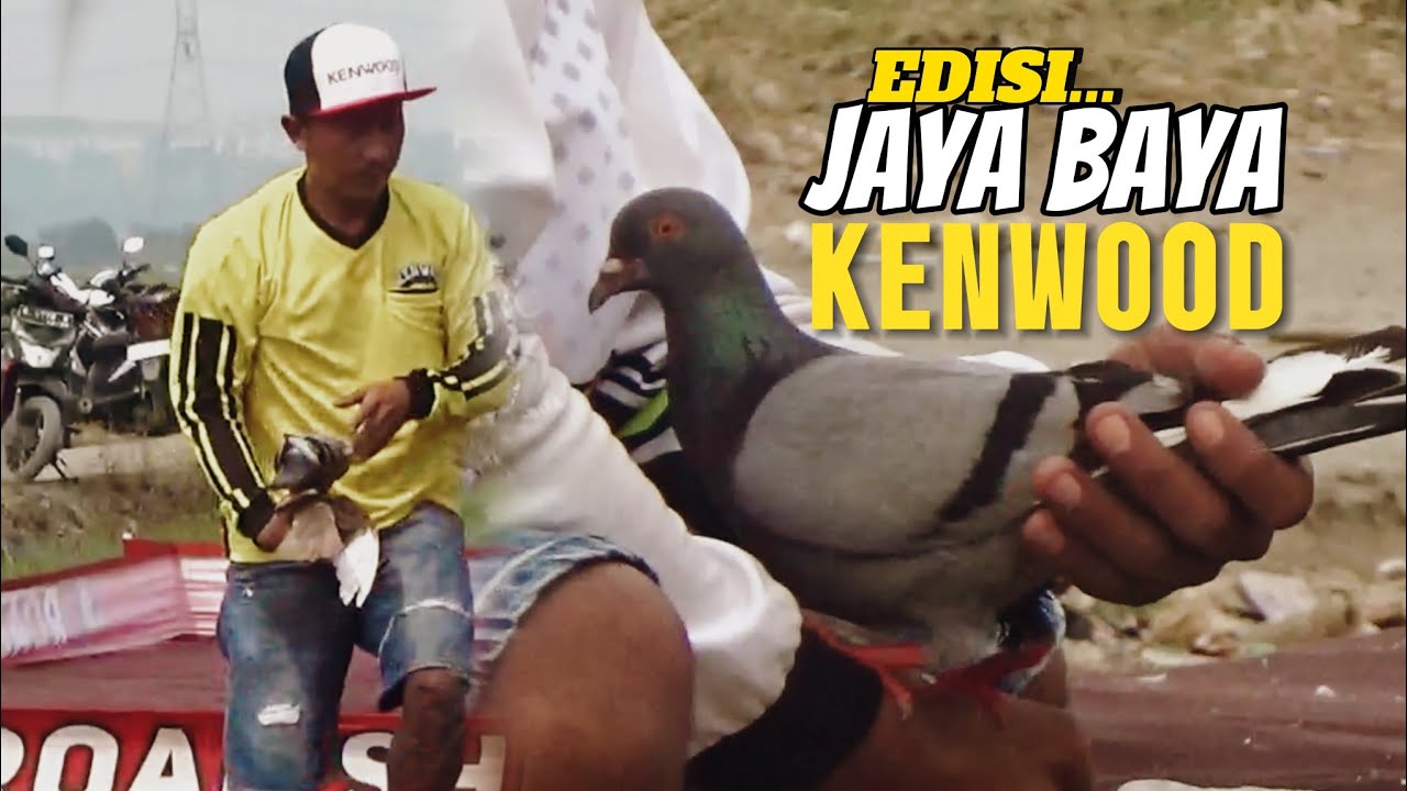 Edisi JAYA BAYA TEAM KENWOOD MERPATI TAWARAN 1,7 MILYAR