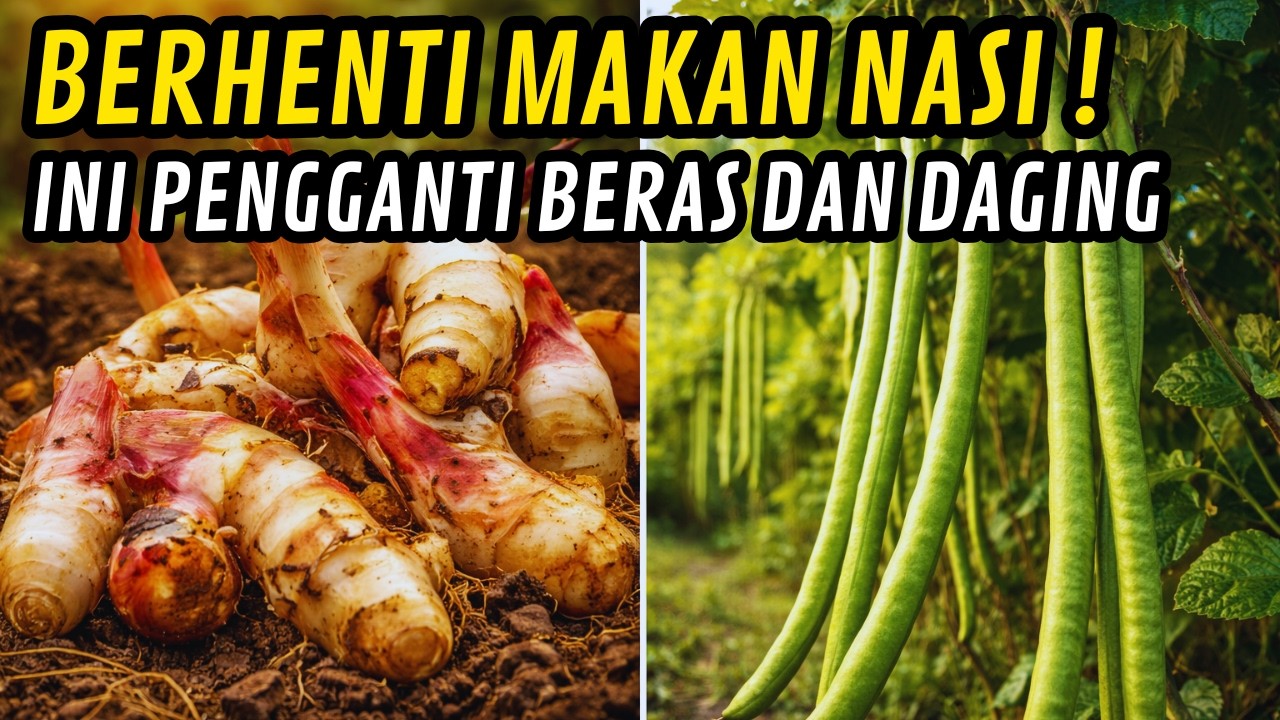 Jika Beras & Daging Langka, Tanaman Ini Jadi Penyelamat!