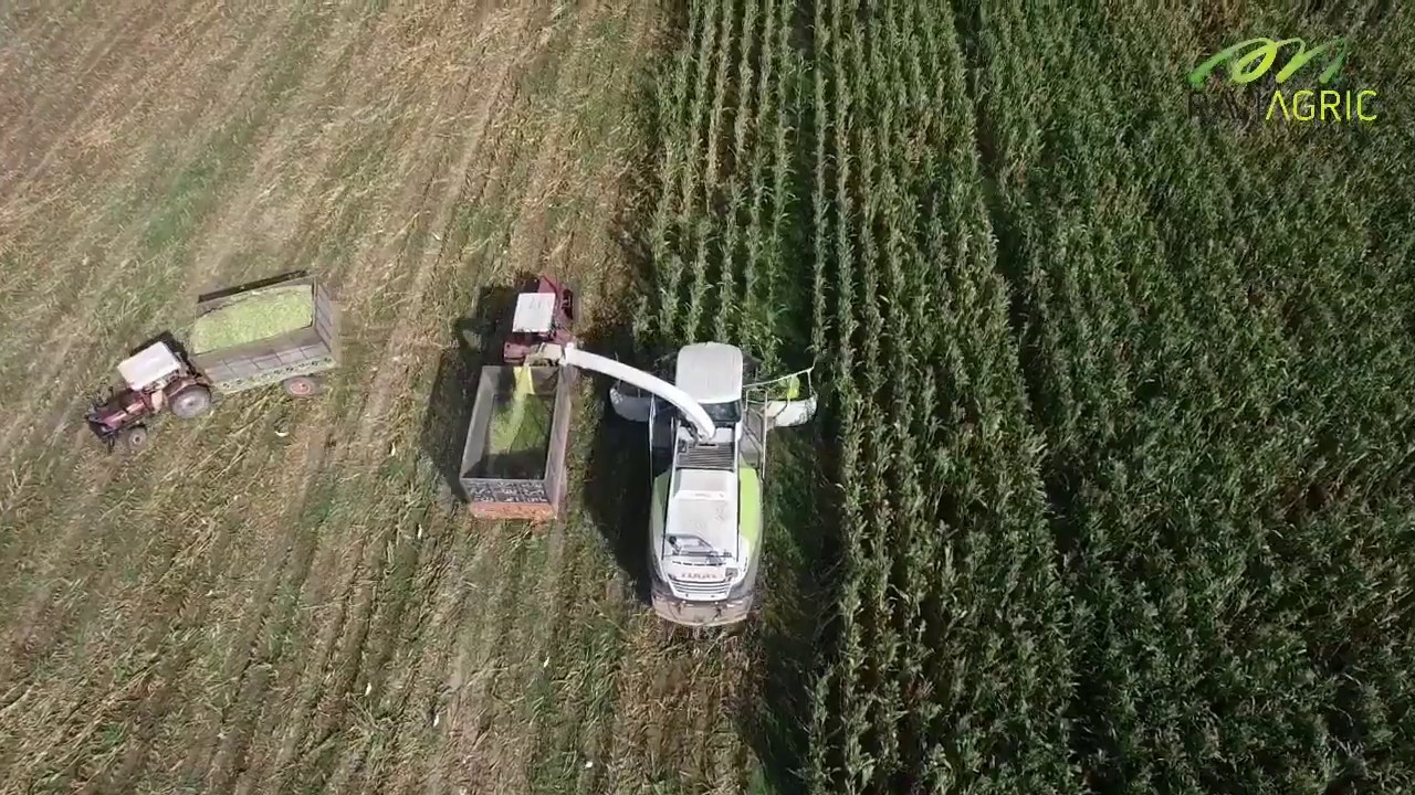 Nishat Agriculture Farming Pvt. Ltd.