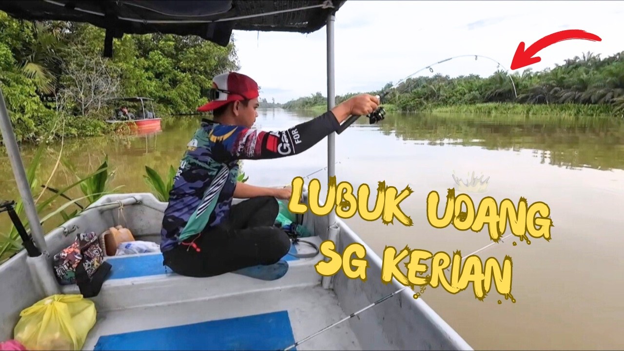 🛑 MANCING UDANG GALAH DI SUNGAI KERIAN