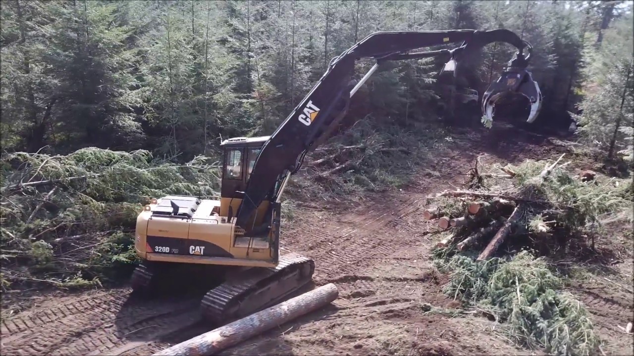 Starting A Brand New Logging Clearcut (Drone View)