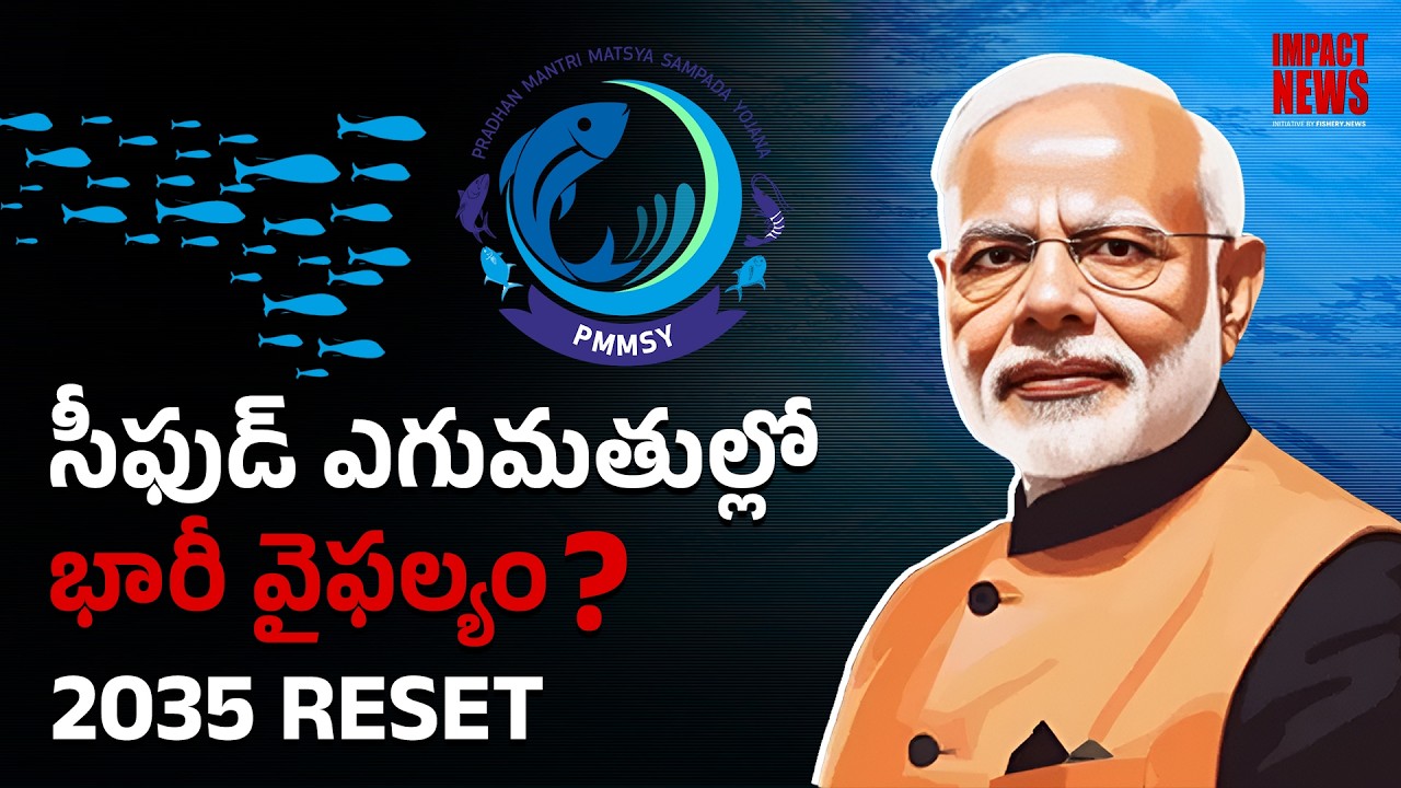 Impact News : ₹1 Lakh Crore Target Missed: What Went Wrong with India’s Seafood Exports? | Fishery