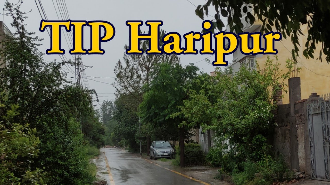 TIP colony Haripur | Today's Weather | Haripur Hazara ❤️