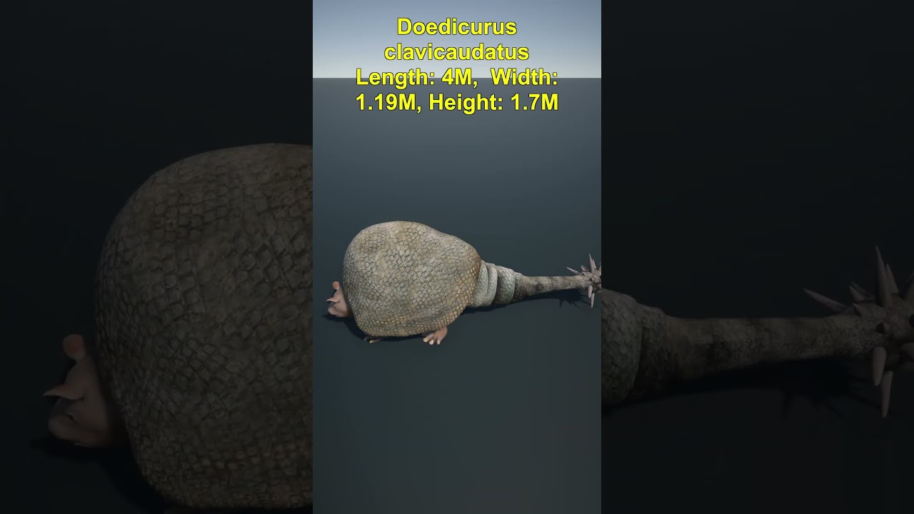 Introduction to Extinct Animals #extinctanimal #animals #comparisonvideo