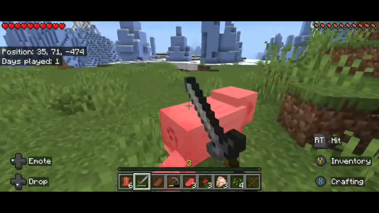 Day one panther smp #smp #minecraft #YouTub 