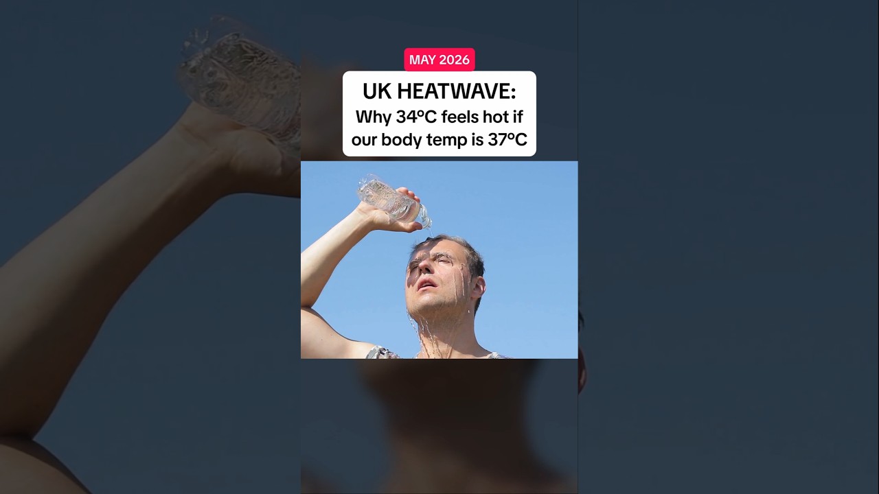 🥵 ЖАРА В ВЕЛИКОБРИТАНИИ: почему вам жарко, если температура тела 37&deg;C?