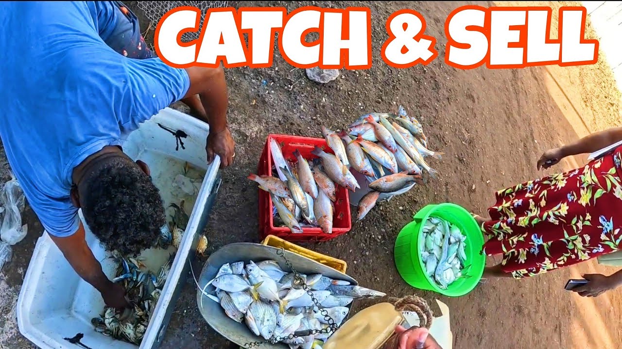 CATCH WEIGH & SELL‼️ HOW MUCH MONEY DID WE MAKE???????