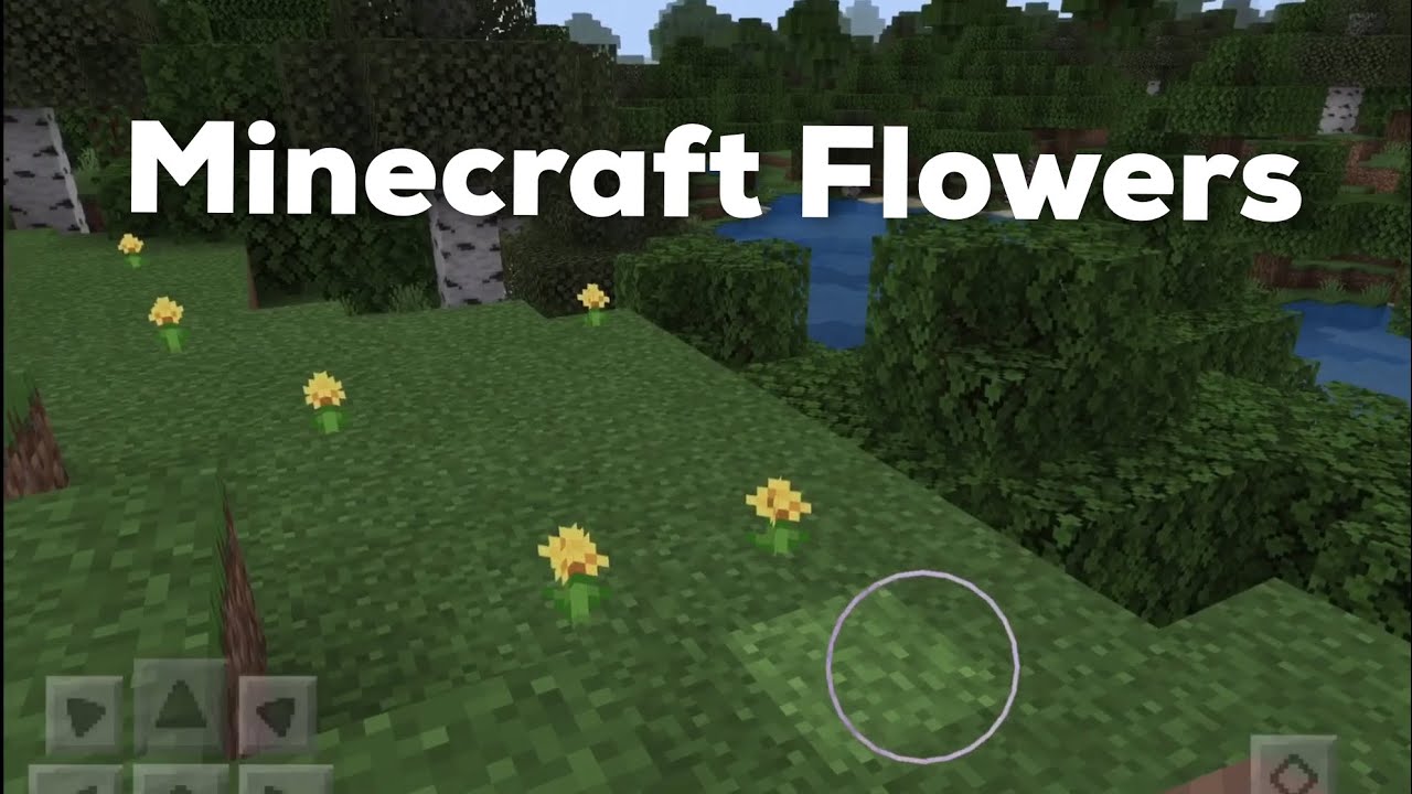 Minecraft Flowers