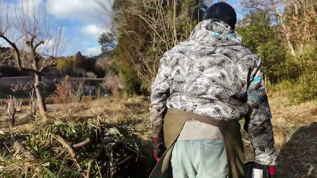 耕作放棄地（東）雑木と刈れない部分を、マキタ18V生垣トリマーと剪定ばさみで切っていく