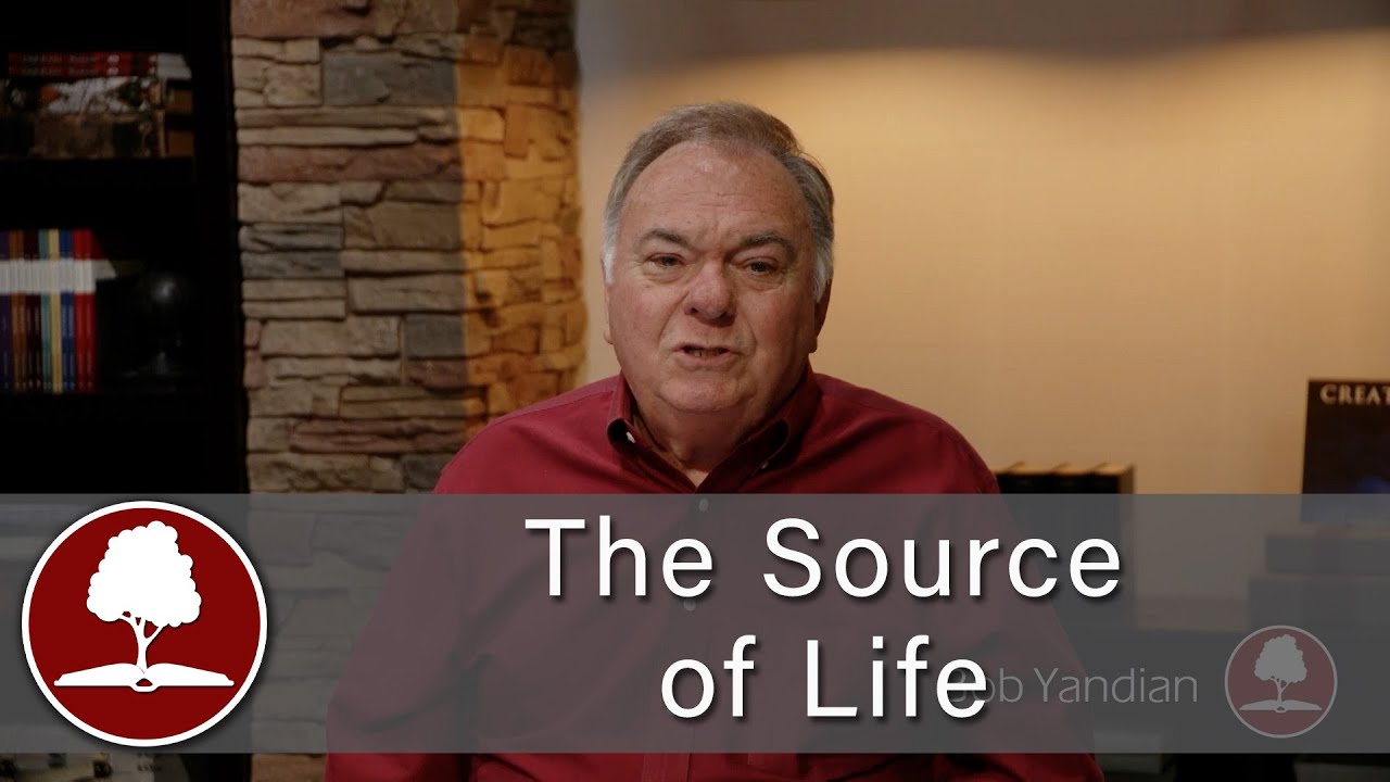 The Source of Life - 1975