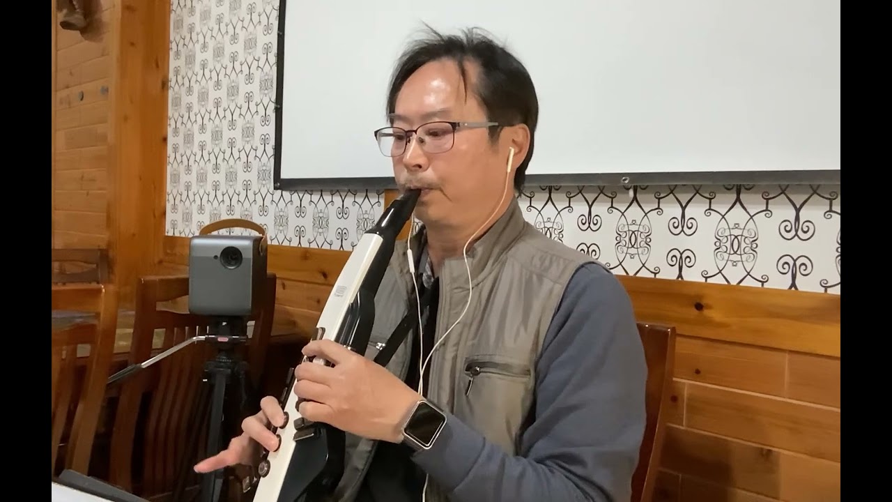 陪我看日出—蔡淳佳—電吹管～豪哥