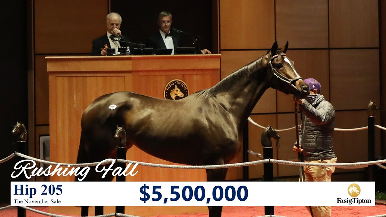 Rushing Fall sells for $5,500,000 at The November Sale (2020)