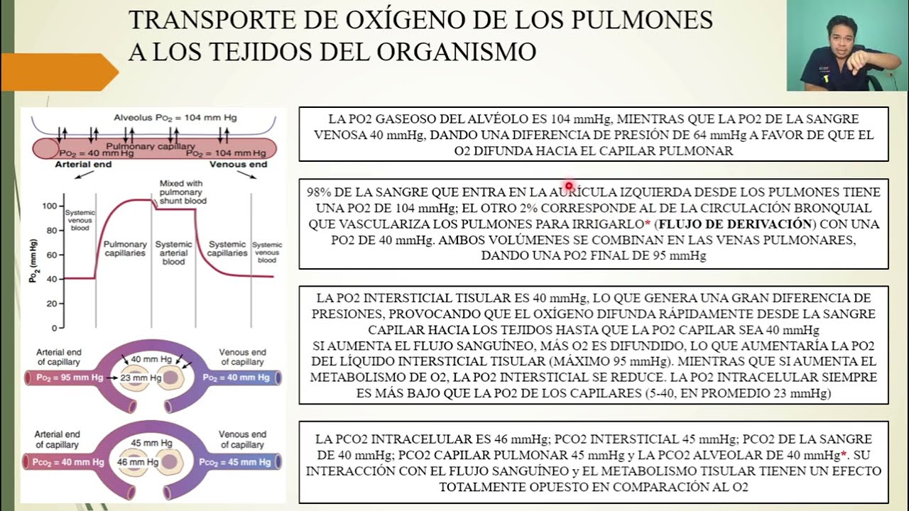 FISIOLOGIA: TRANSPORTE DE OXÍGENO y DIÓXIDO DE CARBONO EN LA SANGRE y LOS LÍQUIDOS TISULARES