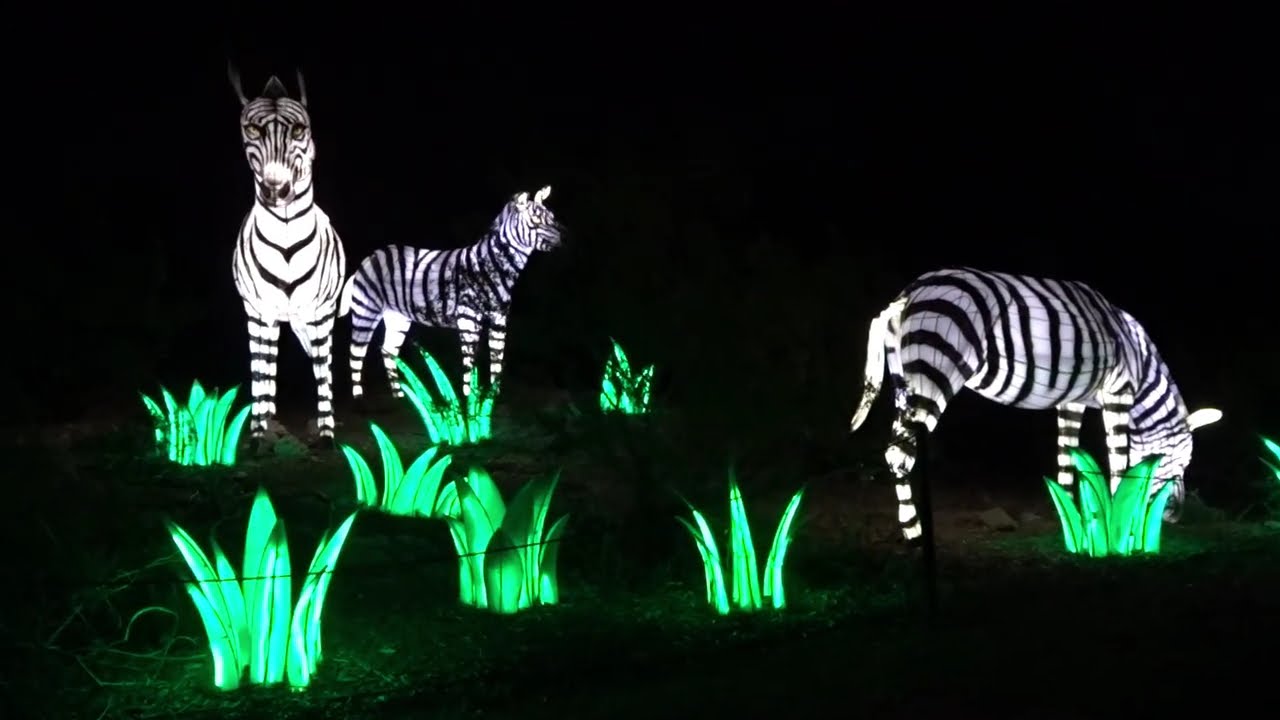 zoolights 2025