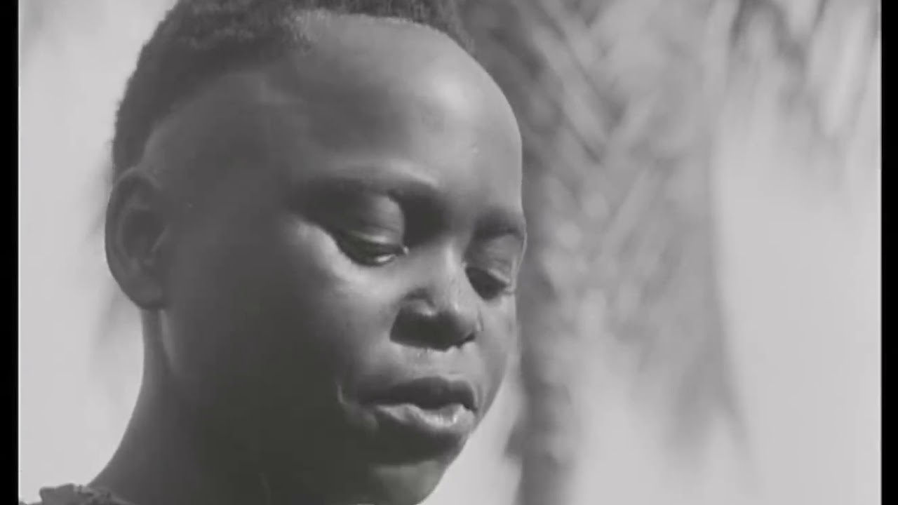 La Formation de l'Elite Noir du Congo Belge